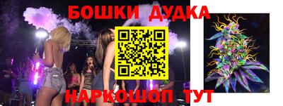 ECSTASY Гатчина